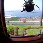 Necho Villa La Orotava