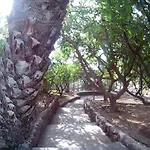 Necho La Orotava